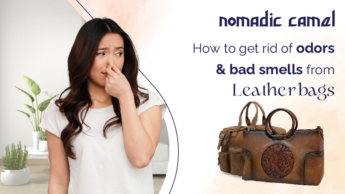 How to remove odor from leather bag online