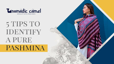 5 Tips to Identify a Pure Pashmina