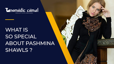 The ultimate shopper's guide on Pashmina in Dubai