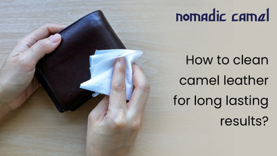How to Clean Camel Leather for Long-Lasting Results?
